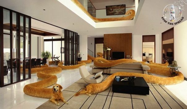 №73, Євгенія Литвинюк, 09.07.1987, Ивано-Франковск №73, Євгенія Литвинюк, 09.07.1987, Ивано-Франковск