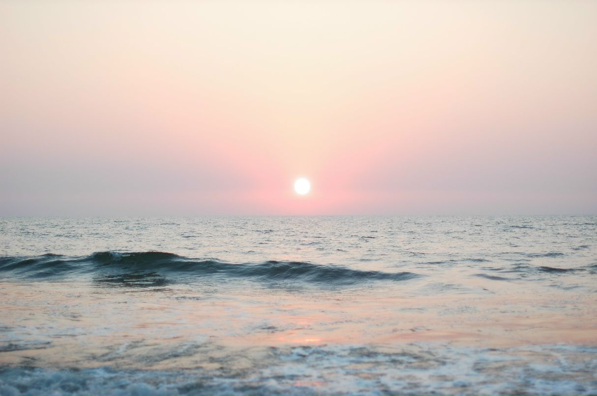 Алексей Забейда | Москва