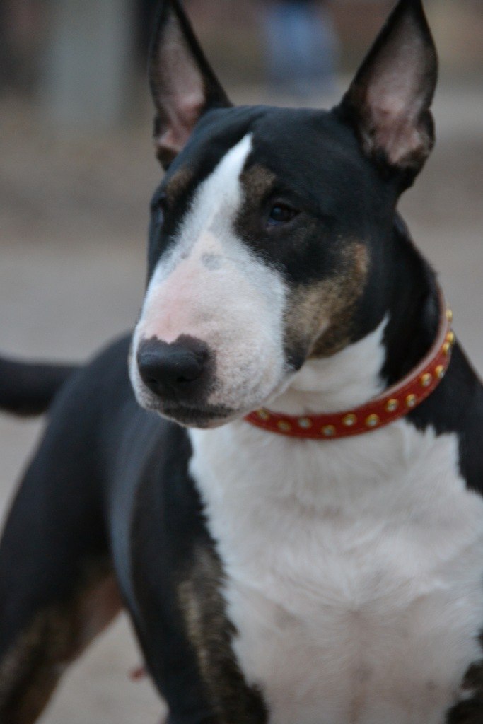 Артем Синеок | Саратов