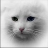 Фотография Гуровой Елены