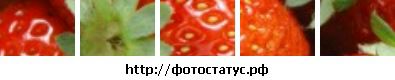Фотография Максим Иванов