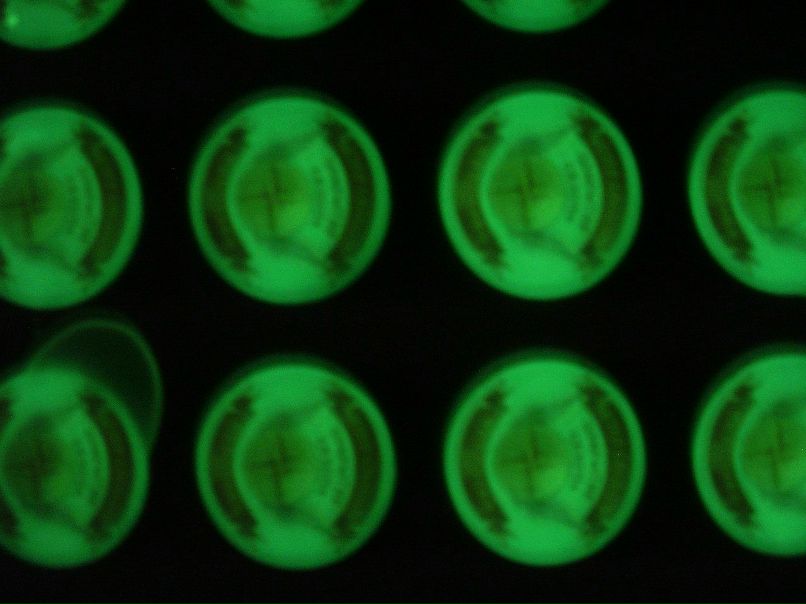 Константин Доренский “ШВАРЦ” | Николаев