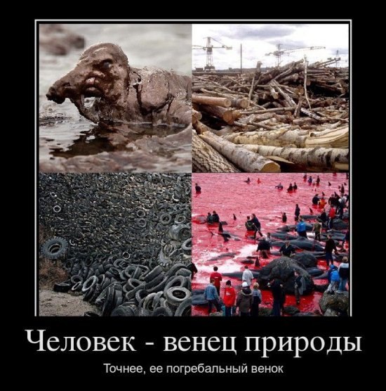Тамара Москалюк | Родинское