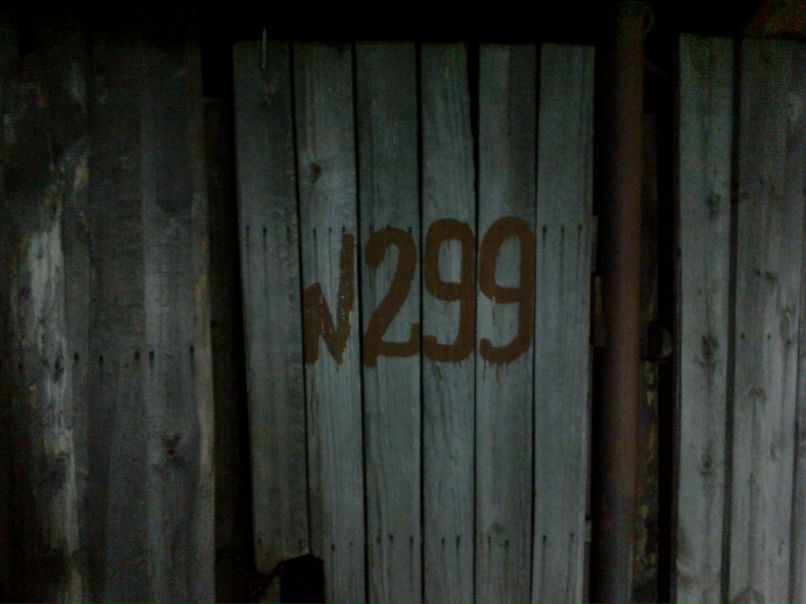 Сергей Щепанкевич | Новосибирск