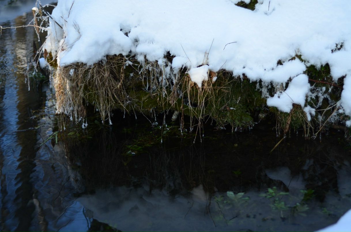 Екатерина Николаева | Москва