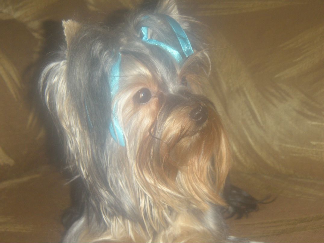 Елена Кольцова | Оренбург