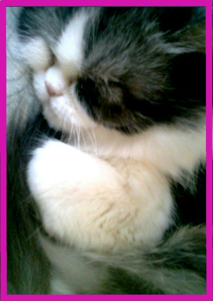 №117, Настасья Мальд, 37 лет, Санкт-Петербург №117, Настасья Мальд, 37 лет, Санкт-Петербург