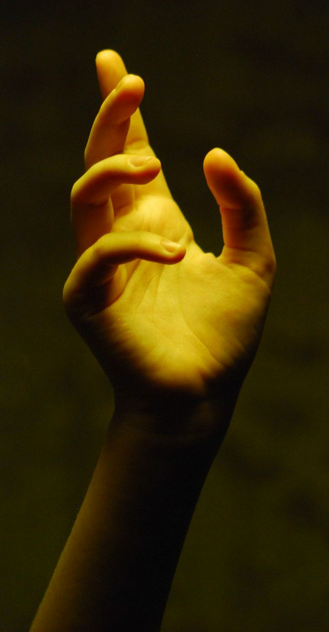 Полина Пастощук | Sydney