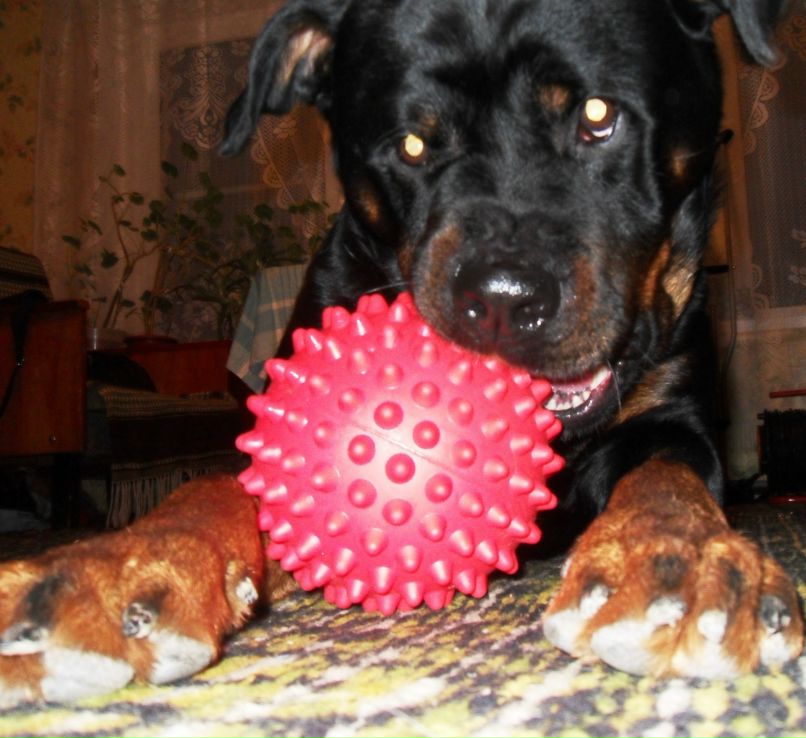 Вячеслав Фадеев | Санкт-Петербург