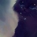 Ирина Кузьмина фотография #44 (источник - https://vk.com/id133773936)