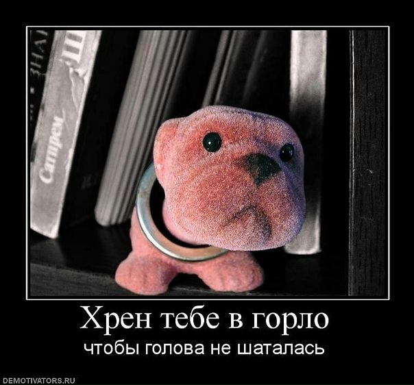 №79, Алексей Шелегов, 40 лет, Гомель №79, Алексей Шелегов, 40 лет, Гомель