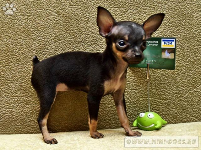 №105, Екатерина Ходжаева, Зеленоград №105, Екатерина Ходжаева, Зеленоград