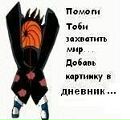 Фотография Антон Елфимов