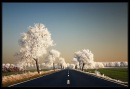 Фотография Иван Арван