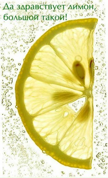 №18, Наташа Северова №18, Наташа Северова