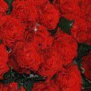 №68, Юлия Курындина, 48 лет, Кировск №68, Юлия Курындина, 48 лет, Кировск