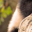 №67, Алина Деревянко, Харьков №67, Алина Деревянко, Харьков