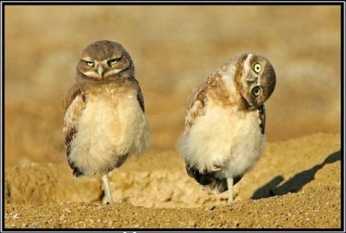 №38, Олександр Липчук, 33 года, Киев №38, Олександр Липчук, 33 года, Киев