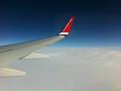 №10 Елена Веселкова 26.03.1986: профиль, фото, статус - ВКонтакте