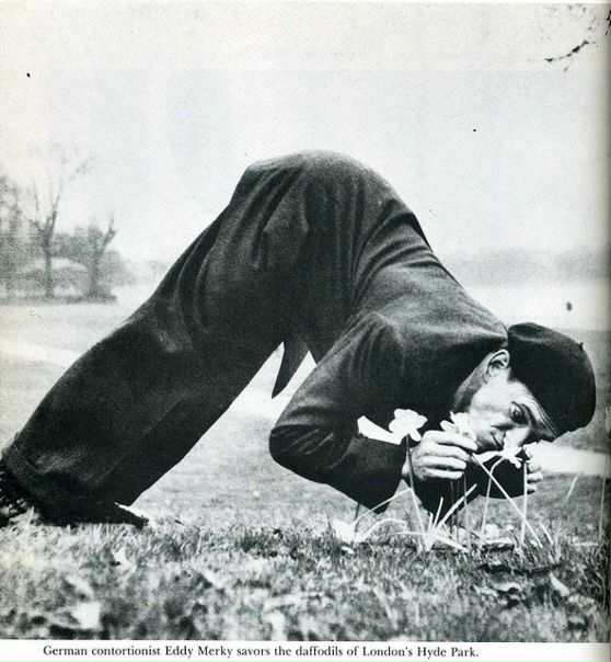 №103, Вера Руж №103, Вера Руж