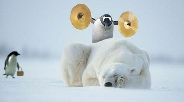 Рамиль Галямов | Тобольск