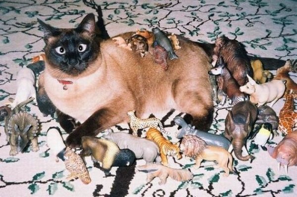 №44, Анатолий Имгрунд, 37 лет, Санкт-Петербург №44, Анатолий Имгрунд, 37 лет, Санкт-Петербург