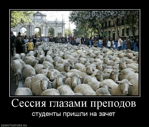 №132, Евгений Орлов, 45 лет, Ярославль №132, Евгений Орлов, 45 лет, Ярославль