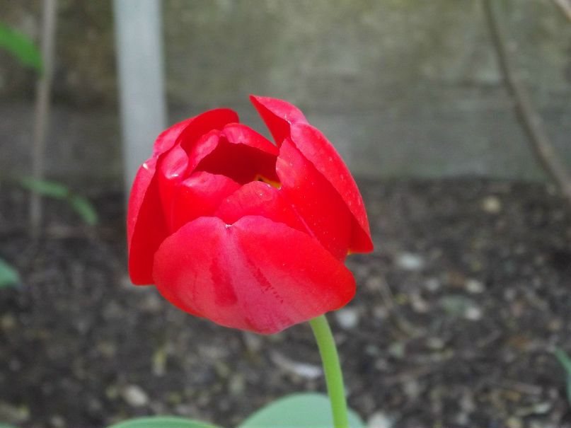 Сергей Иванов | Granger