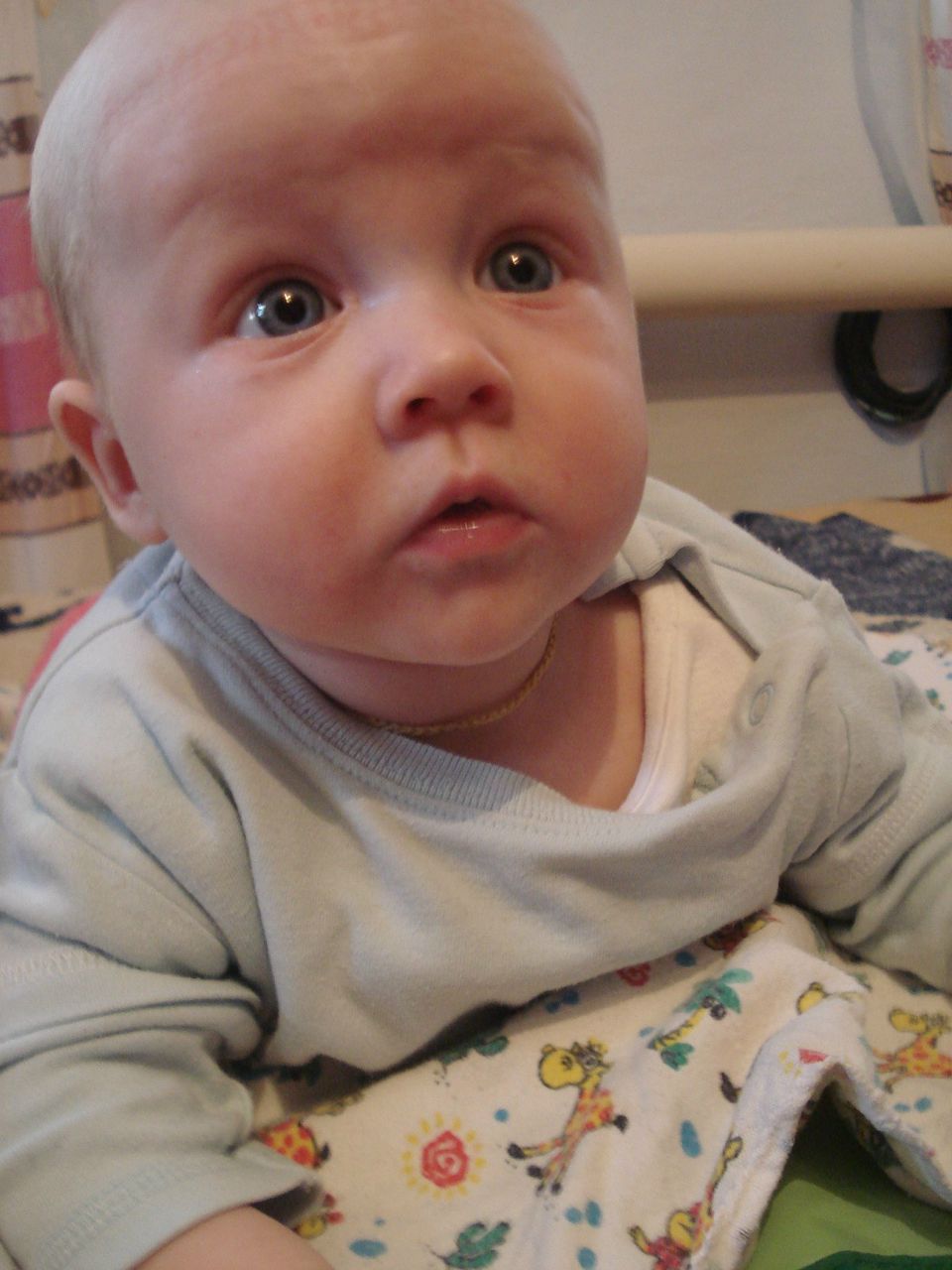 Елизавета Коляда | Запорожье