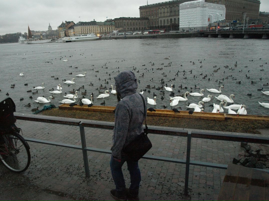 Светик Краснорогова svetlasha | Москва
