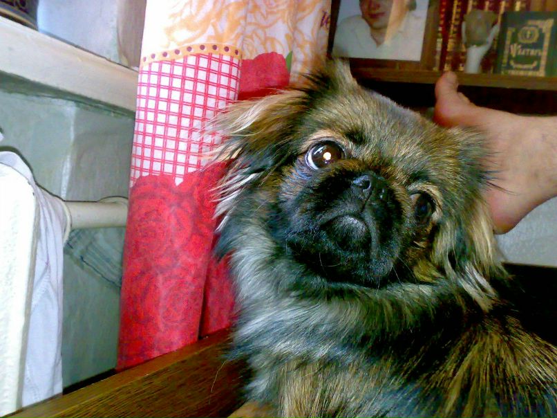 Валерий Кухар ✠DeMoN✠ | Одесса