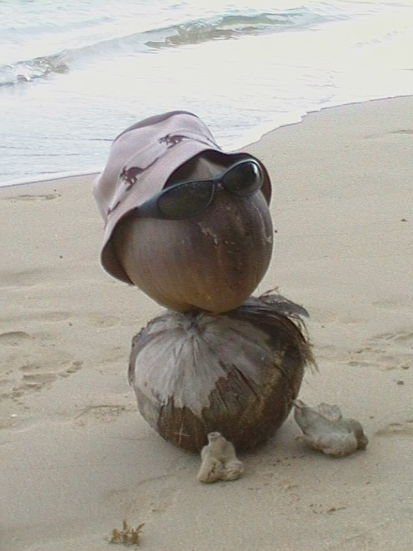 Максим Петров | Москва