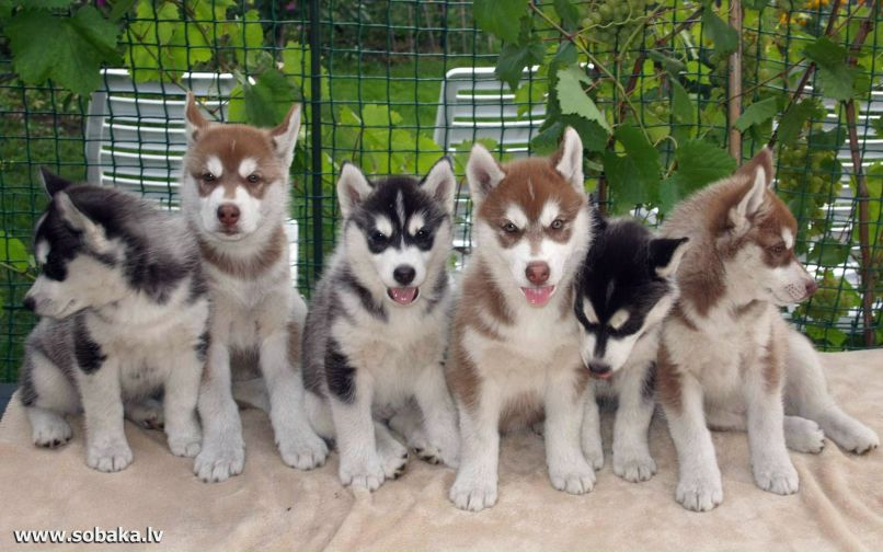 Танюша Ваколюк | Киев