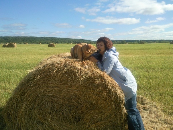 №137, Наталья Полева, Санкт-Петербург №137, Наталья Полева, Санкт-Петербург