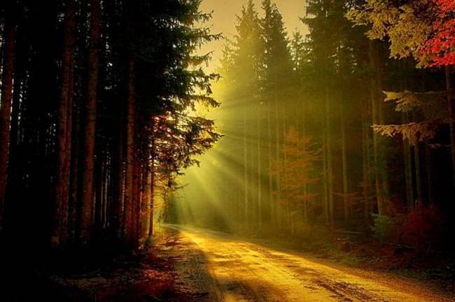 Андрей Никитин | Новосибирск