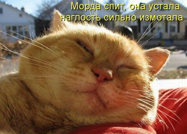 Алексей Каплюш К2 | Красноярск