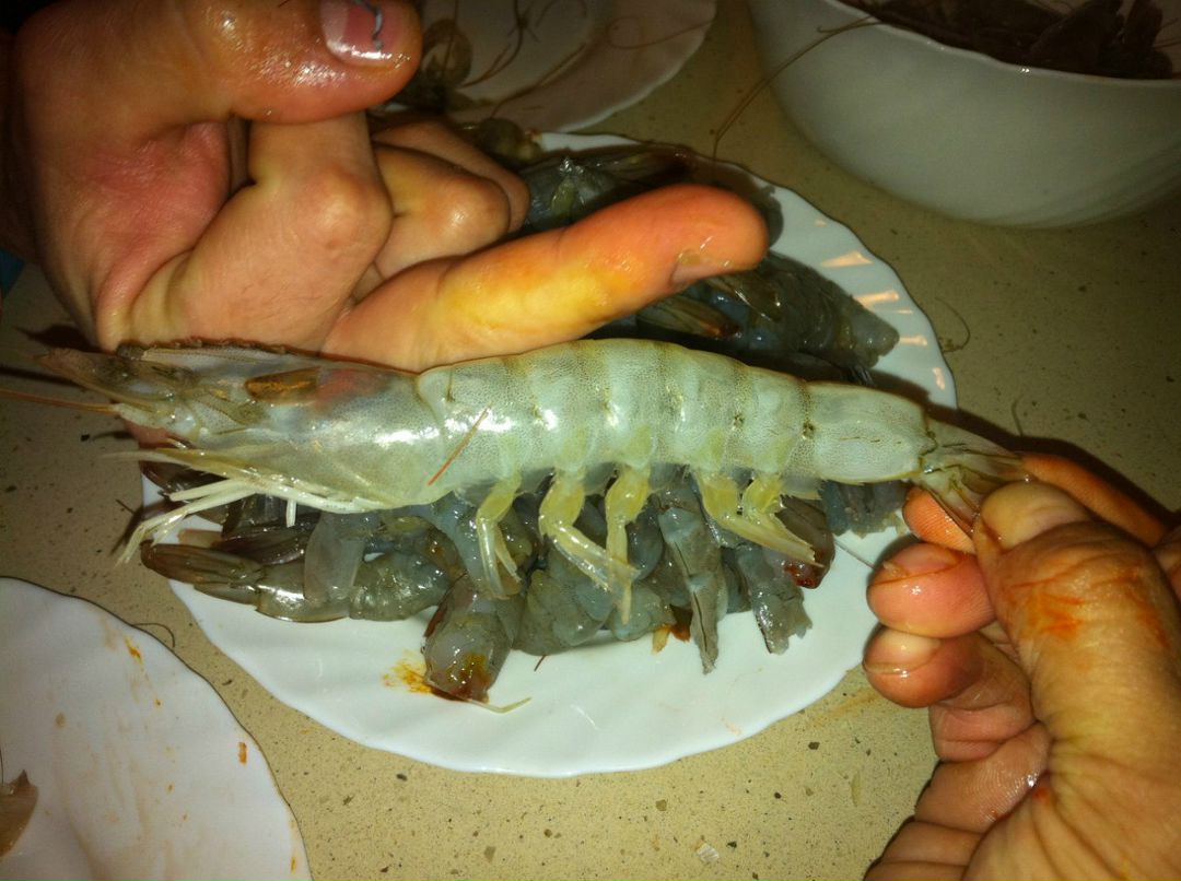 Марья Юнусова | Краснодар