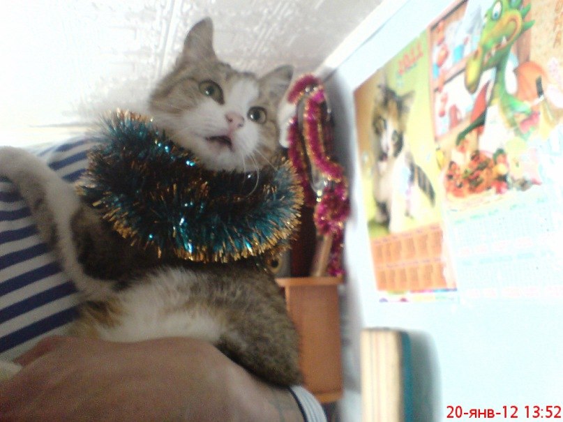 Владимир Попов | Новосибирск