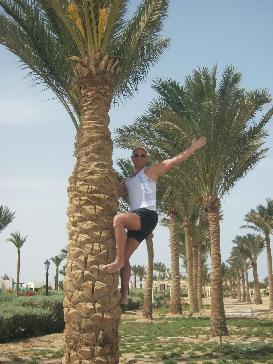 Александр Ерощенко | Санкт-Петербург