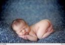 Фотография Соколова Дмитрия
