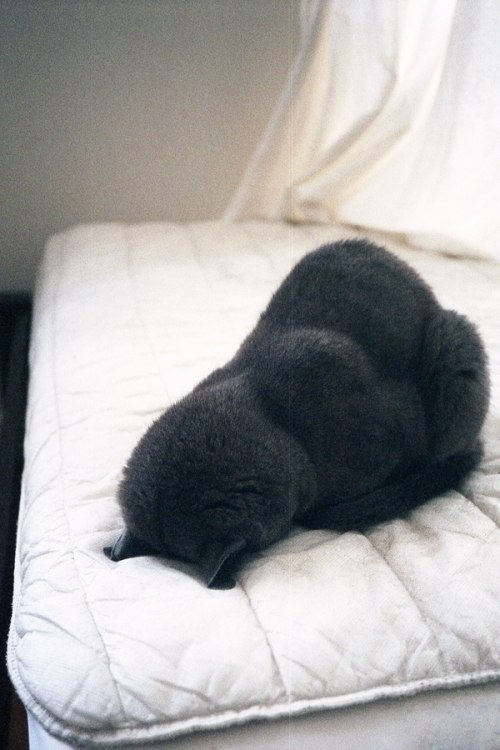 Маша Шестак | Москва