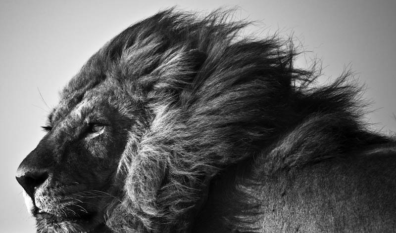 Мовсес Агаджанян | Москва