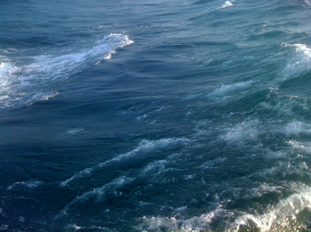 Женя Швец Sony | Одесса