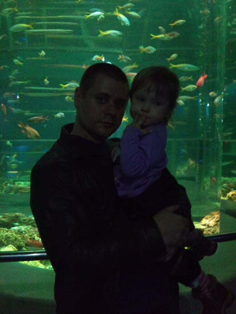 Алексей Толстов | Санкт-Петербург