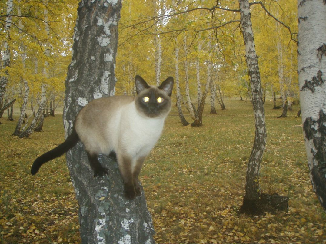 Галина Булачек | Магнитогорск