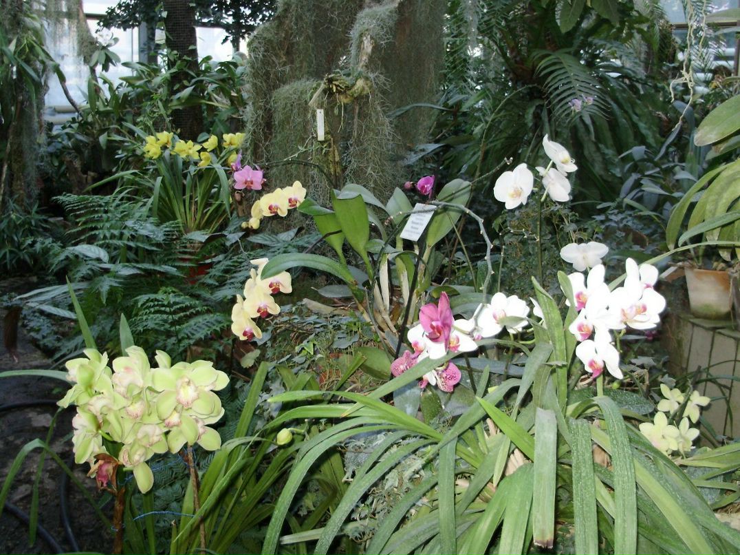 Анастасия Летичевская | Киев