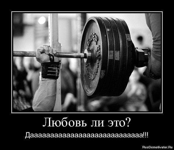 Иван Солонник | Владивосток