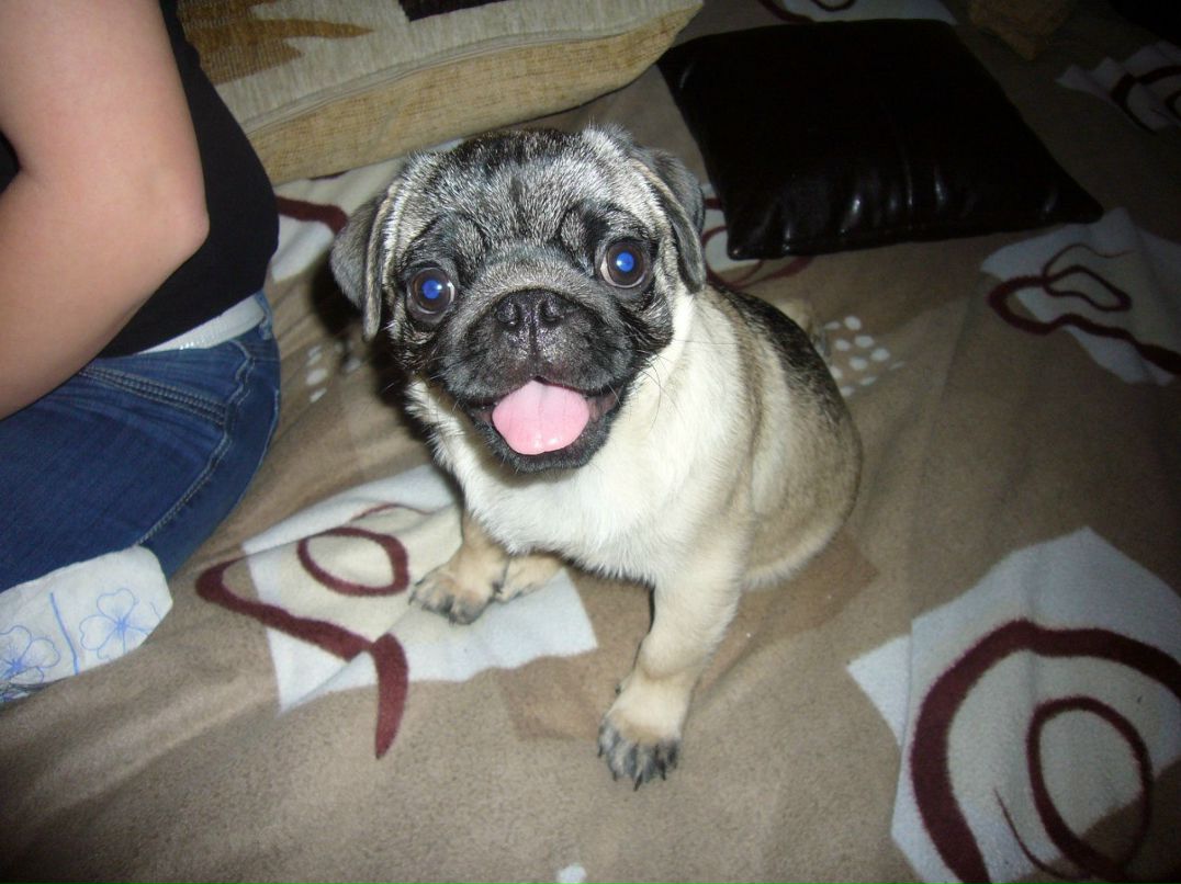 Наталья Евдокимова | Королёв