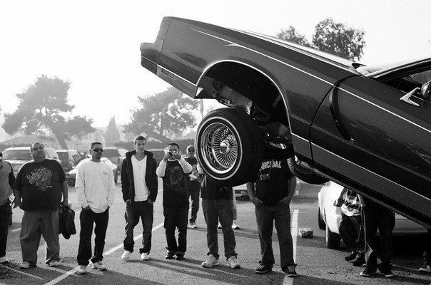 Roman Levin | Архангельск