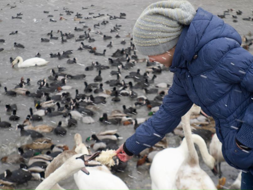 Дарья Иськив | Севастополь
